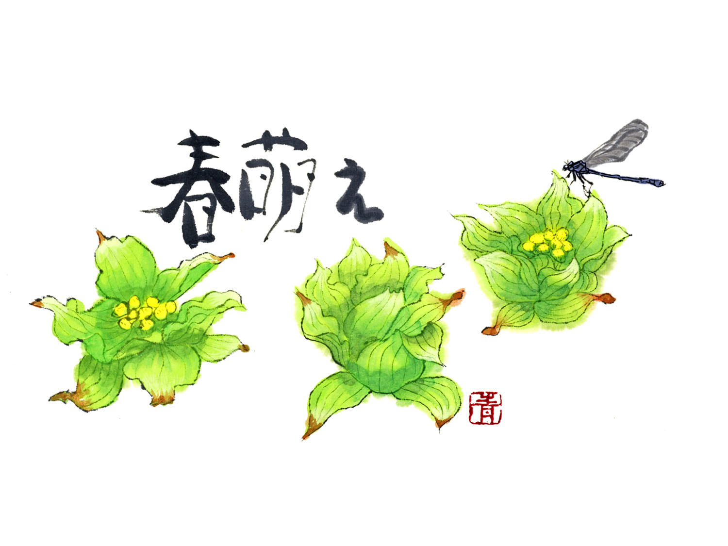 グロサリーまるさ